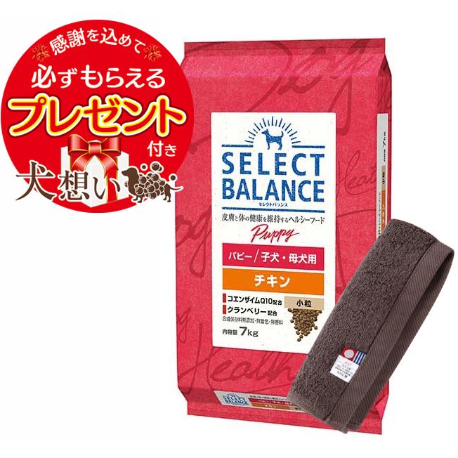 セレクトバランス パピーチキン小粒　子犬・母犬用15kg　❶ パピー/子犬・母犬用 チキン｜製品紹介｜セレクトバランス