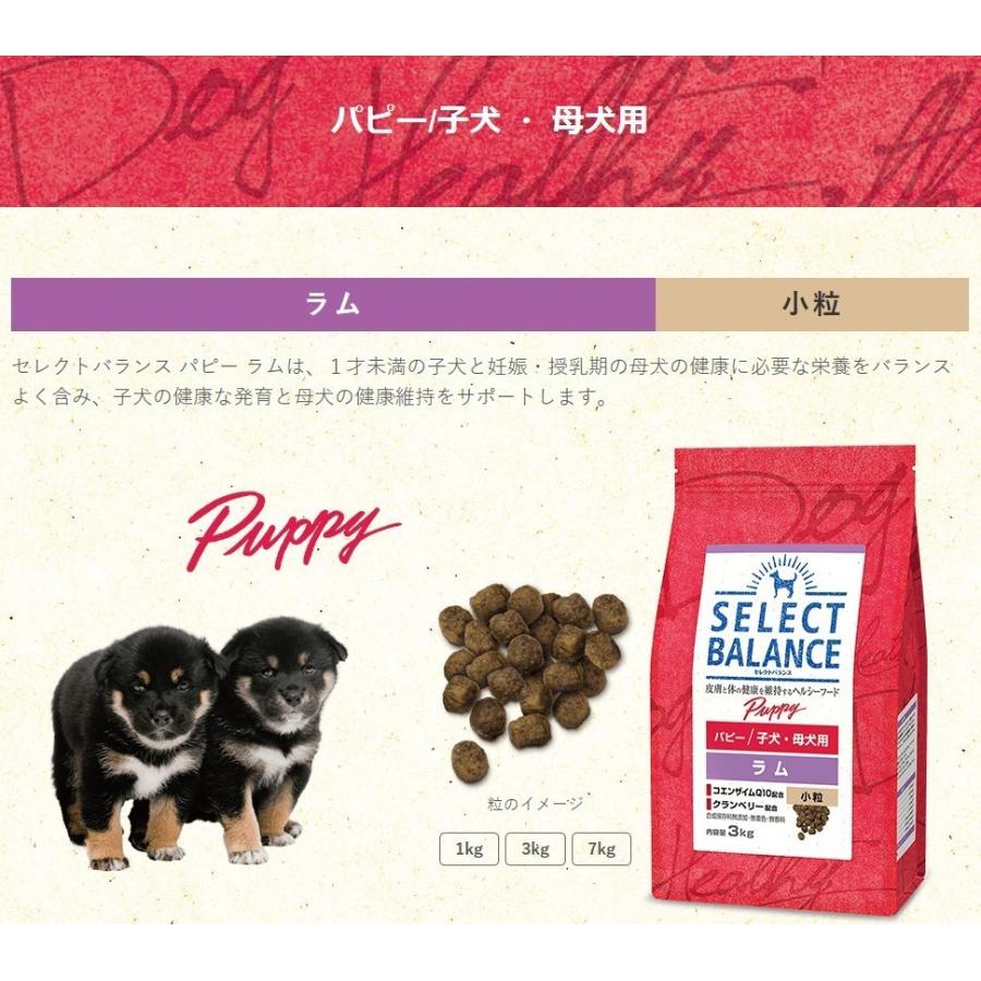 SELECT BALANCE Puppy ドライフード ラム 3kg セレクトバランス 犬パピーラム 小粒 3kg（4541851005968）｜犬フード