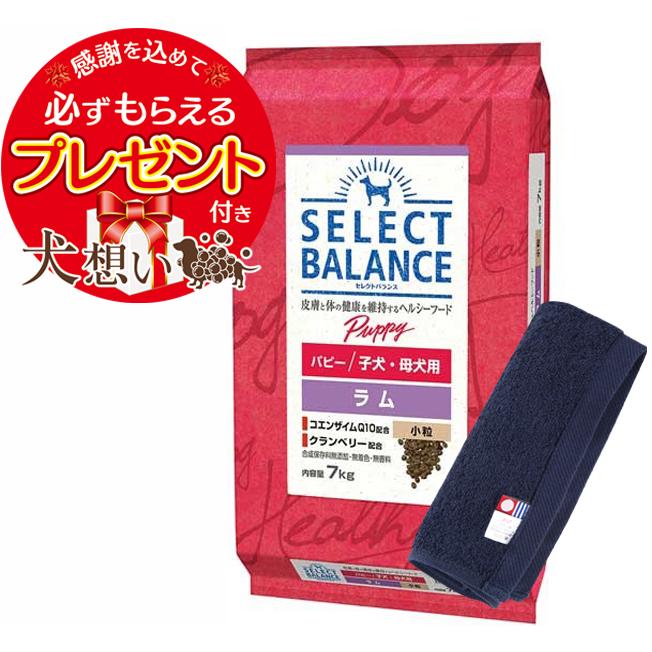 SELECT BALANCE セレクトバランス パピー ラム 小粒 子犬・母犬用 7kg