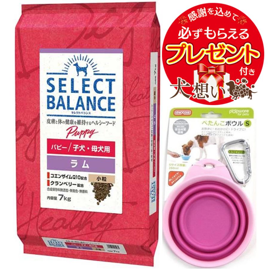 SELECT BALANCE - より分ける平衡にする パピー 子ヒツジ 微粒子 狆ころ・母犬用 7kg【平べったいどんぶり鉢 Ｓ さくら色付】
