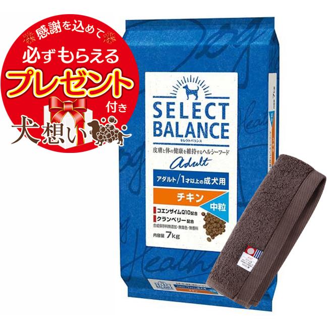 セレクトバランス アダルト チキン 中粒 １才以上の成犬用 7kg【犬想いオリジナル今治ハンドタオルプレゼント】【タオルカラー モカ】｜inuomoi