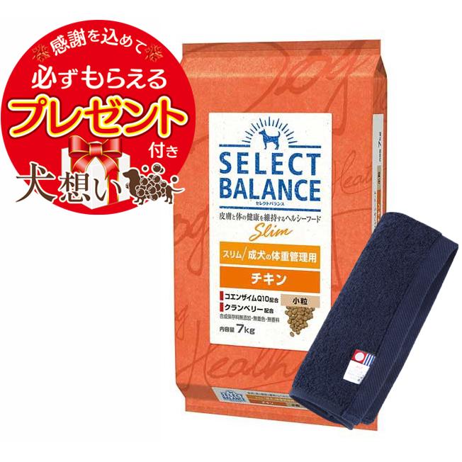 大放出セール プレゼント付 ポイント10倍 セレクトバランス スリム チキン 小粒 成犬の体重管理用 7kg 犬想いオリジナル今治ハンドタオルセット ネイビー Dprd Jatimprov Go Id