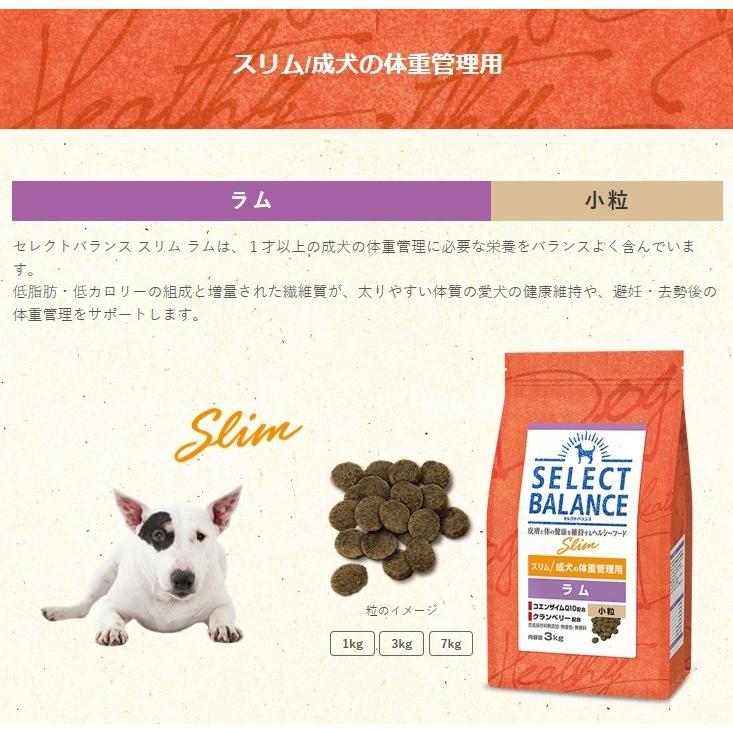 セレクトバランス スリム ラム 小粒 成犬の体重管理 ドライ 3kg SELECT