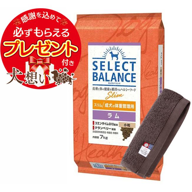 SELECT BALANCE セレクトバランス スリム ラム 小粒 成犬の体重管理用