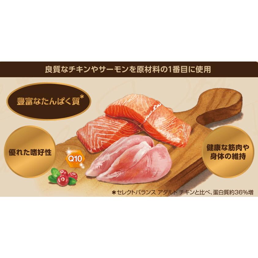 SELECT BALANCE セレクトバランス グレインフリー アダルトサーモン