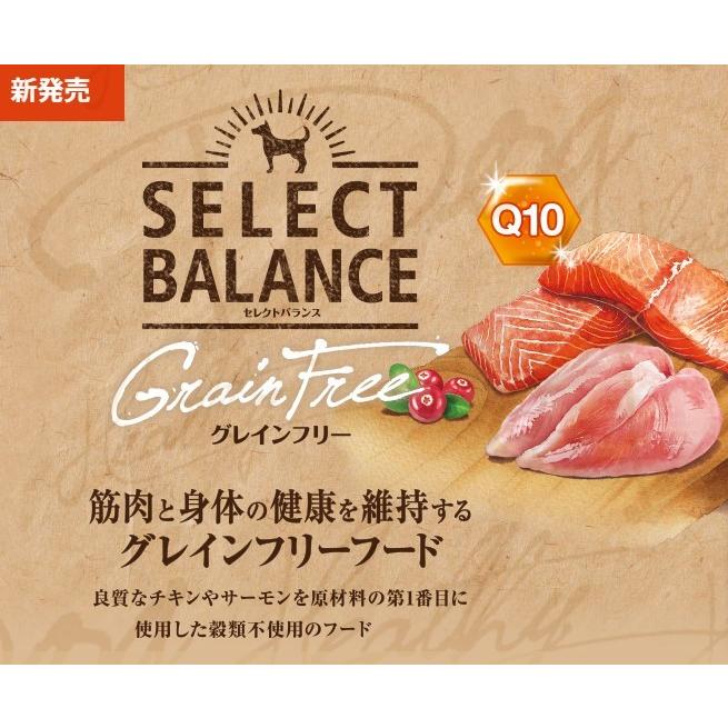 セレクトバランス グレインフリー アダルト サーモン 成犬用 10kg✕２ セレクトバランス グレインフリー アダルトサーモン 小粒 2.4kg【犬