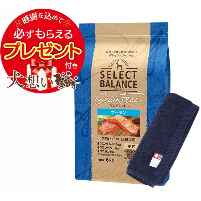 SELECT BALANCE セレクトバランス グレインフリー アダルトサーモン