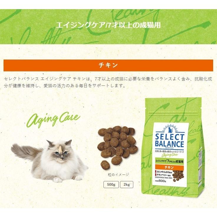 レビュー高評価の商品！セレクトバランス　子猫用　10kg