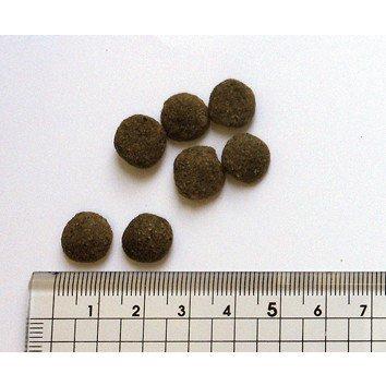 BLACKWOOD ブラックウッド 5000 980g : 犬想い - 通販 - Yahoo