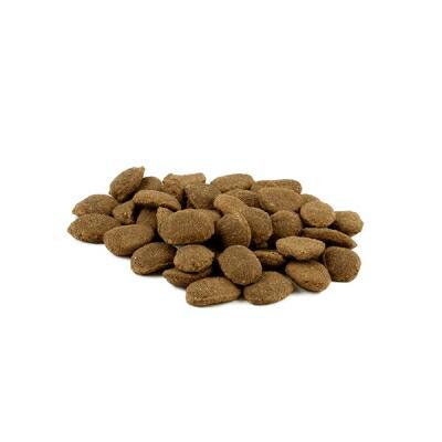 フィッシュ4 ドッグ サーディン 3kg : 犬想い - 通販 - Yahoo!ショッピング