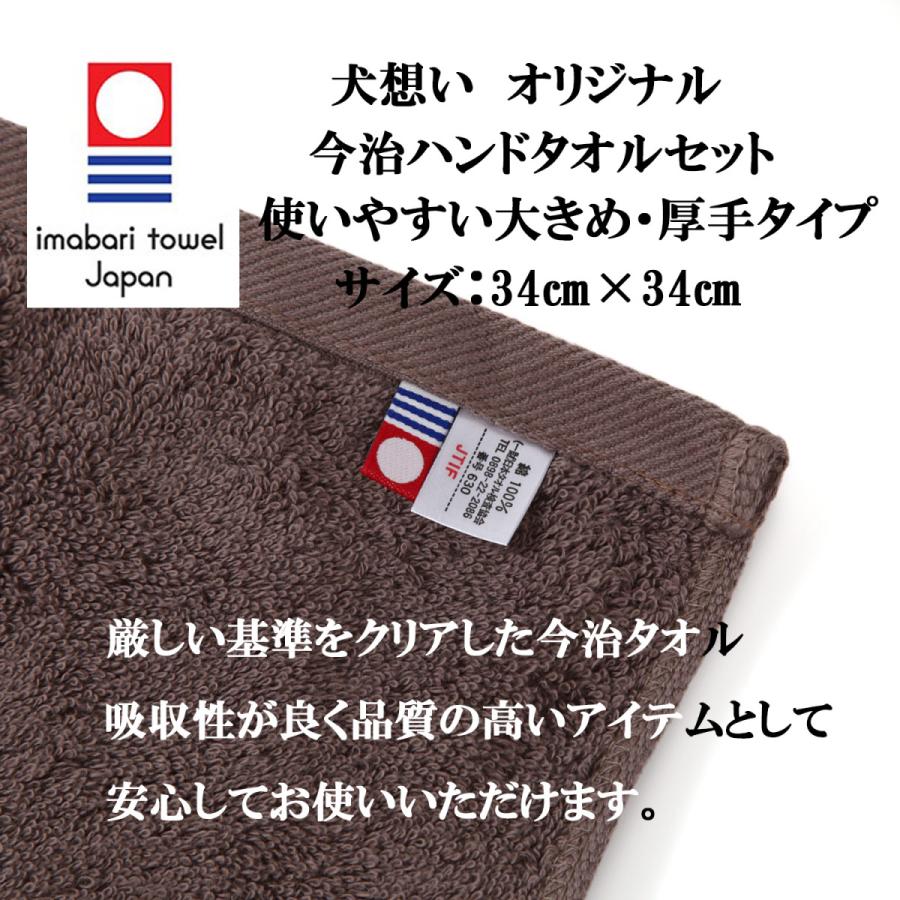 ソルビダ グレインフリー チキン 成犬用 5.8kg【犬想いオリジナル今治ハンドタオルセット】【タオルカラー モカ】【正規品】_3