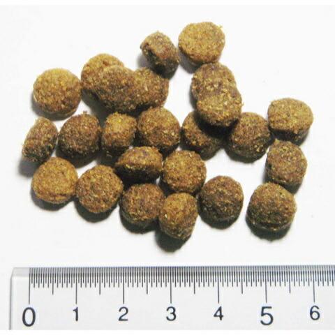 アーガイルディッシュ（Argyle Dishes） グレヴィレア アダルト 800g