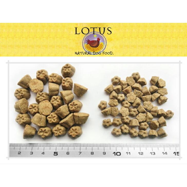 ロータス アダルト ラムレシピ 小粒 6kg : 犬想い - 通販 - Yahoo 