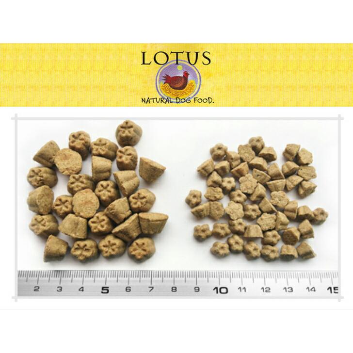 LOTUS ロータス グレインフリー フィッシュレシピ 小粒 5kg【犬想い