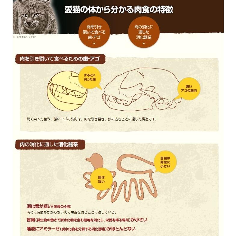 ニュートロ ワイルドレシピ キトン チキン 子猫用 2kg 犬想い 通販 Yahoo ショッピング