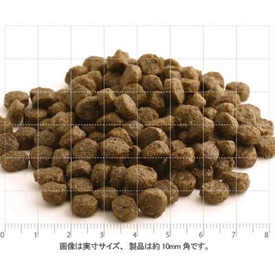 フィッシュ4 ドッグ サーモン小粒 1.5kg【犬想いオリジナル今治ハンドタオルプレゼント】【タオルカラー ネイビー】｜inuomoi｜04