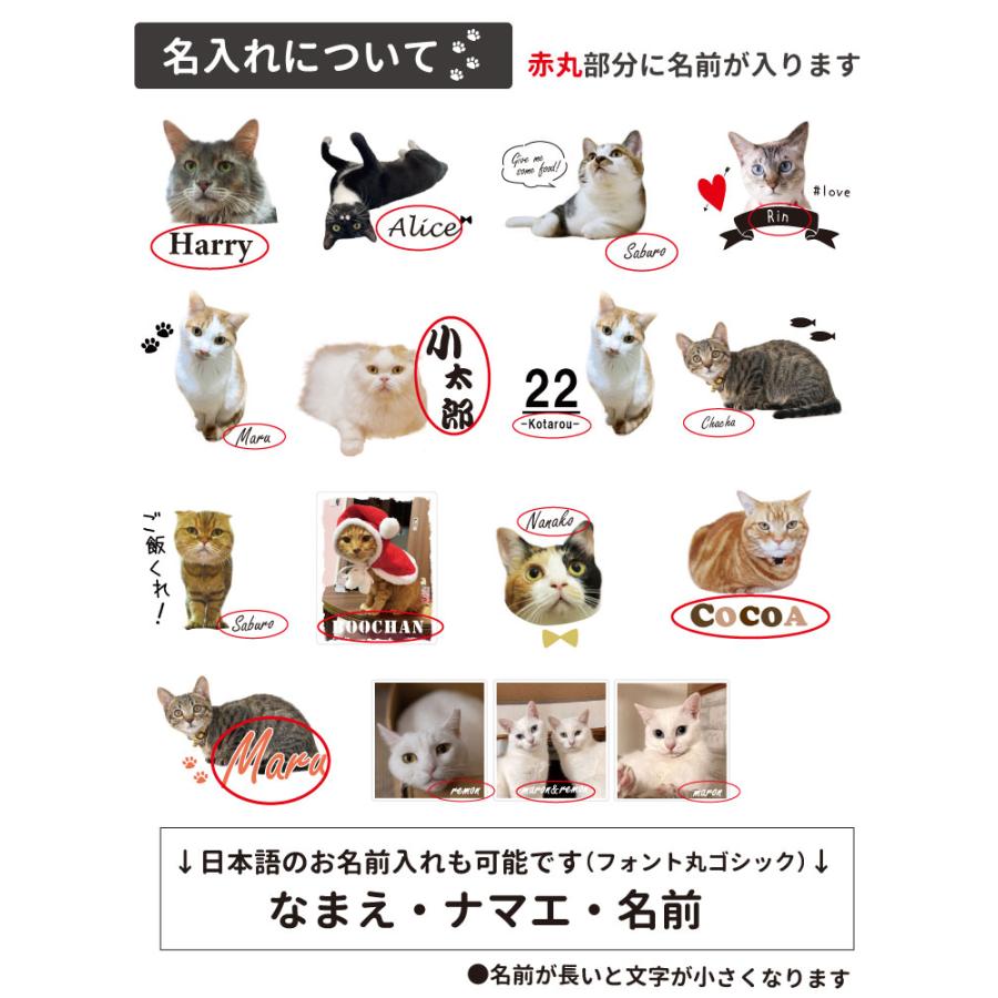 愛猫 写真 オーナー用 オリジナル カラーエプロン ） 名入れ いぬや 猫