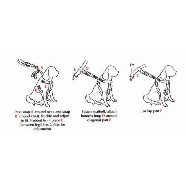 犬 小型犬 シートベルト ドッグ カーハーネス Mサイズ ( ドライブ 安全 ) HICRAFT社製 （ ） dl003犬屋