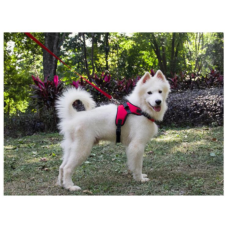 売り切り 犬 大型犬用 ハーネス ハンドル付き XL~XXL 胴輪 軽量 春 夏 秋 冬 お散歩 安全帯 介護用 「迷彩 ヒョウ柄 英国国旗」 TAILUP｜inuya｜04