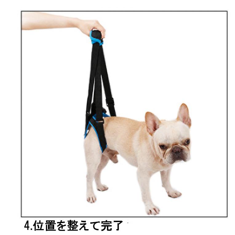 後ろ脚が弱い 犬のための 犬用品 介護用 メッシュ ハーネス ブルー DOGLEMI 中型犬 大型犬用｜inuya｜11