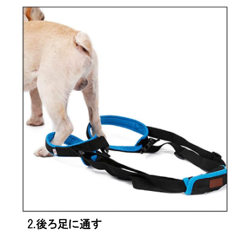 後ろ脚が弱い 犬のための 犬用品 介護用 メッシュ ハーネス ブルー DOGLEMI 中型犬 大型犬用｜inuya｜09