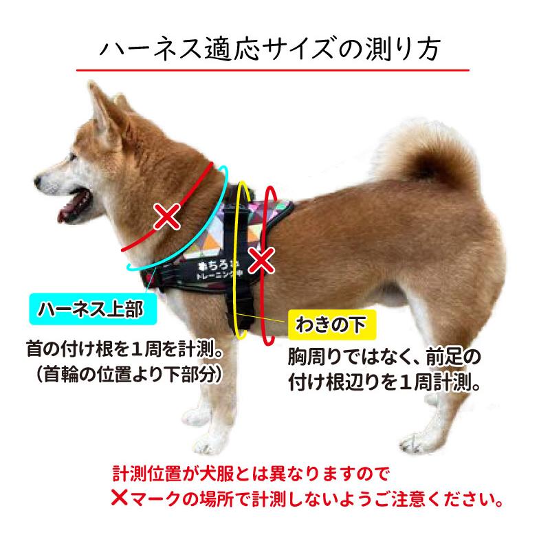 犬 ハーネス 名前入り ハンドル付き 大型犬 L〜XLサイズ 雑貨