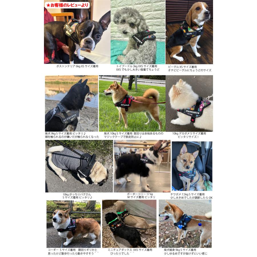 う*る様 MURRAL タグ付き ハーネス シルバー う*る様 MURRAL タグ付き