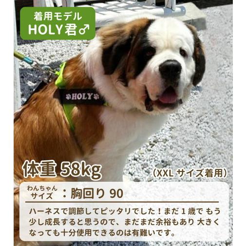 在庫限り!( 名入れ 無料 ハンドル付き 軽量 ハーネス M〜L 在庫限り!( 名入れ 無料 ハンドル付き 軽量 ハーネス M〜L