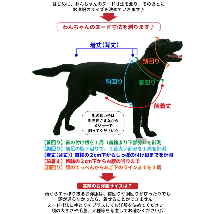 おもしろコメント 犬服 Tシャツ S 2lサイズ 小型犬 犬屋 オリジナル デザイン 春夏 チワワ ヨーキー トイプードル マルチーズ ダックスフンド シュナウザーな Dwo 106 犬屋 Yahoo 店 通販 Yahoo ショッピング