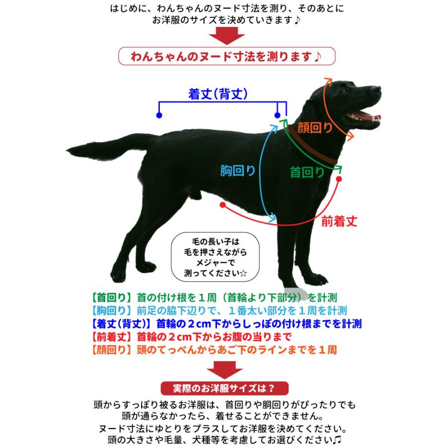 犬服（名入れ 自作 自由コメント Tシャツ Mサイズのみ オレンジ） 半裏