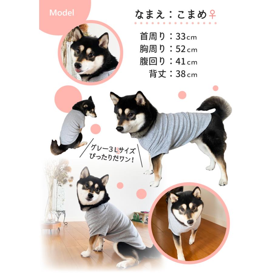 柴犬 デザイン 名入れ 犬服 のびのび ストレッチ Tシャツ ちびわん