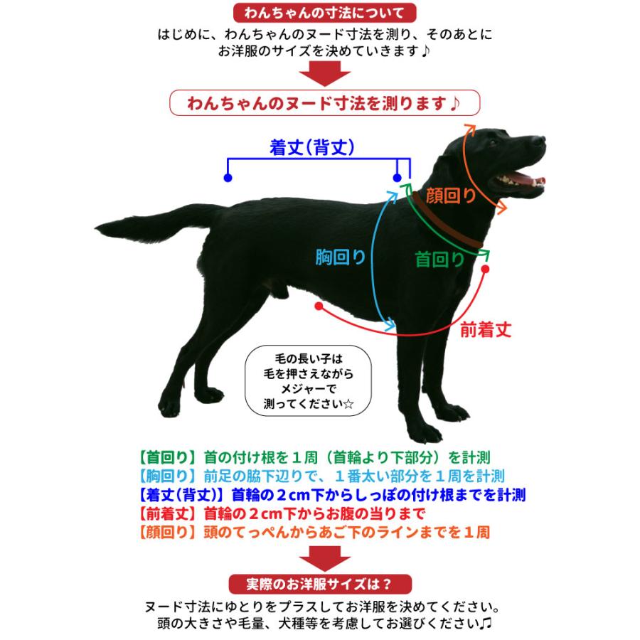 犬服 のびのび ストレッチ 無地Tシャツ S~7L 小型犬 中型犬 大型犬用