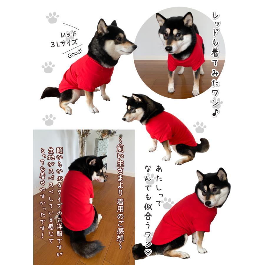 犬服 おもしろ コメント のびのび ストレッチ Tシャツ）豊富な 文字