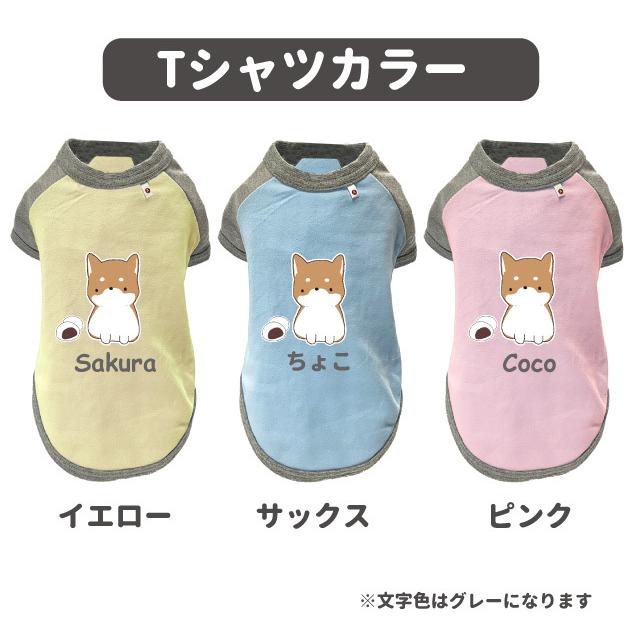 名前入れ 犬服 ストレッチ Tシャツ ちびわん 柴犬 2l 3l オリジナル 犬柄 イラスト 犬 いぬ 小型犬 名前 デザイン エアバルーン 春夏 かわいい 可 Dwo Kt Cb07 犬屋 Yahoo 店 通販 Yahoo ショッピング