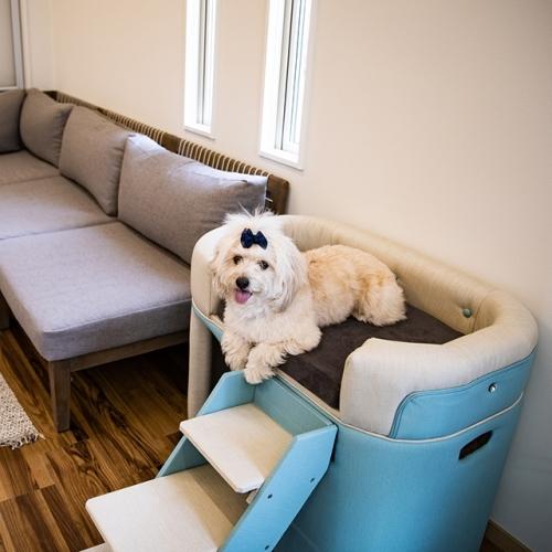 犬 高級 レザー ペット ベッド ソファ Cualy キュアリー 小型犬 中型犬 用 オーダーメイド 国内制作 防汚れ 抗菌 Thithipet ティティペット ソファー Ida 11 犬屋 Yahoo 店 通販 Yahoo ショッピング