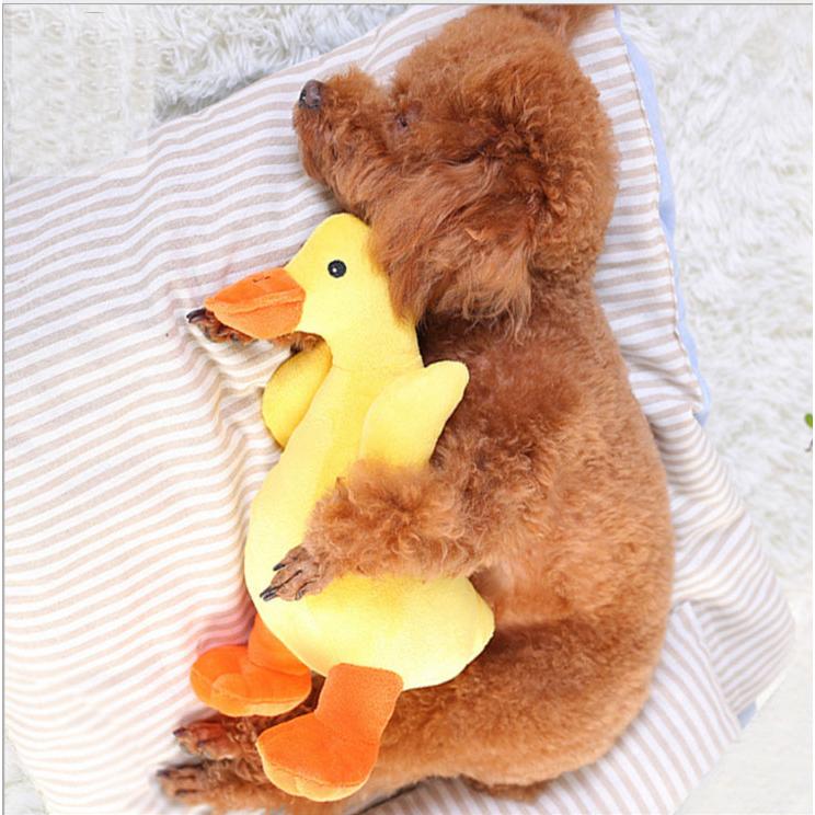 大型 犬 ぬいぐるみ 音 鳴る おもちゃ あひる アヒル 鳥 鴨 中型犬 大型犬用 Hoopet 犬屋 Idt C06 犬屋 Yahoo 店 通販 Yahoo ショッピング