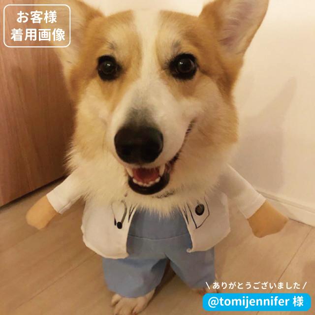 犬服 コスプレ なりきり ドクター Or ナース 2足歩行 変身 仮装 ナース 小型犬 ダックス トイプードル チワワ ポメラニアン ハロウィン バラエティー Idwt 019 犬屋 Yahoo 店 通販 Yahoo ショッピング