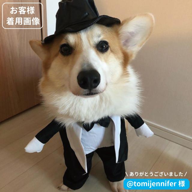 犬 服 タキシード 帽子付き ２足立ち 小型犬 フォーマル 春 夏秋冬 結婚式 披露宴 パーティー バラエティー グッズ 衣装 仮装 着ぐるみセール Idwt 025 犬屋 Yahoo 店 通販 Yahoo ショッピング