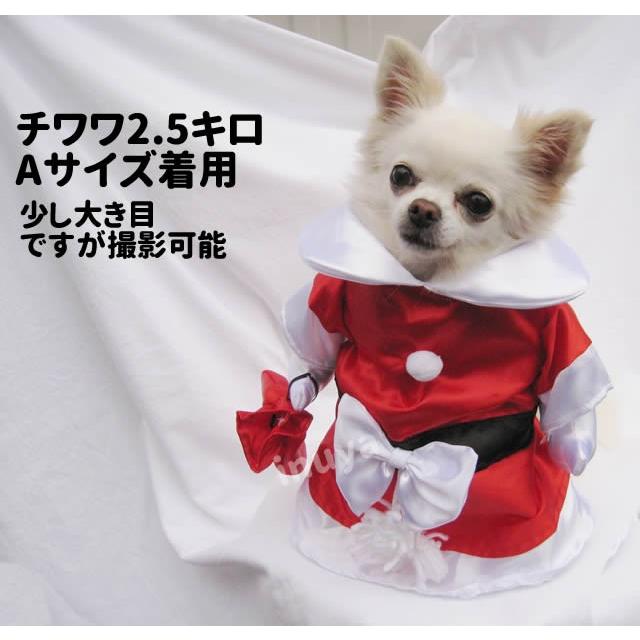 犬服 コスプレ サンタガール コスチューム 2足立ち バレンタイン ホワイトデー 小型犬 ハロウィン グッズｖ Idwt Ch006 犬屋 Yahoo 店 通販 Yahoo ショッピング