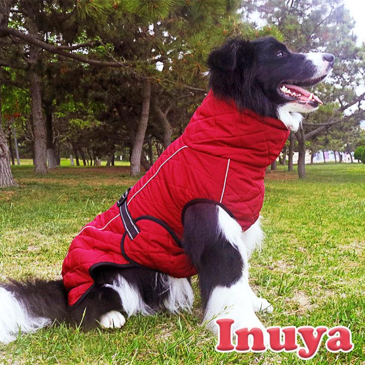 犬服 冬 ハイネック バックル付き キルティング コート レッド（暖かい