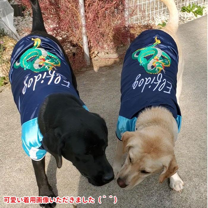 復刻盤 犬 犬服 冬 復刻（スカジャン） 暖かい 防寒 撥水 コート 秋