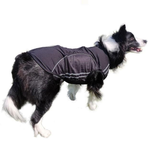 犬服 スリムフィット ジャージ 中型犬 大型犬用 ジッパー メッシュ ノースリーブ 大型犬 散歩 反射 日焼け止め 部屋着 春 夏 柴犬 ラブラドール ゴールデン バー Idwt Ch150m 犬屋 Yahoo 店 通販 Yahoo ショッピング