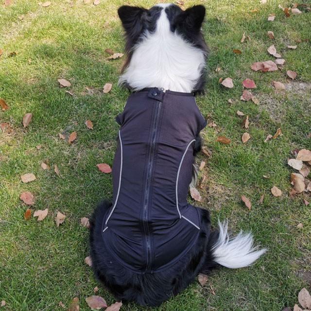 犬服 スリムフィット ジャージ 中型犬 大型犬用 ジッパー メッシュ ノースリーブ 大型犬 散歩 反射 日焼け止め 部屋着 春 夏 柴犬 ラブラドール ゴールデン バー Idwt Ch150m 犬屋 Yahoo 店 通販 Yahoo ショッピング