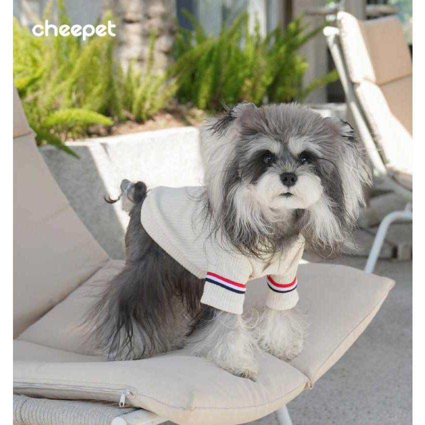 犬 犬服 （ cuddle champ ） cheepet ブランド さらりニット 3色ライン