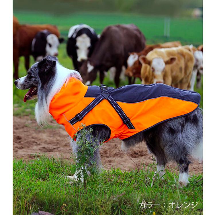 犬服 冬服 （ ハイネック バックル付き スムース コート ） 防寒 暖か