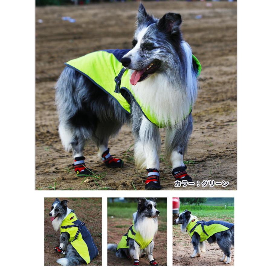 犬服 冬服 （ ハイネック バックル付き スムース コート ） 防寒 暖か