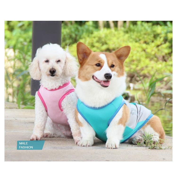 犬服 名入れ 冷感 メッシュ クール タンクトップ 中型犬用 ツートン