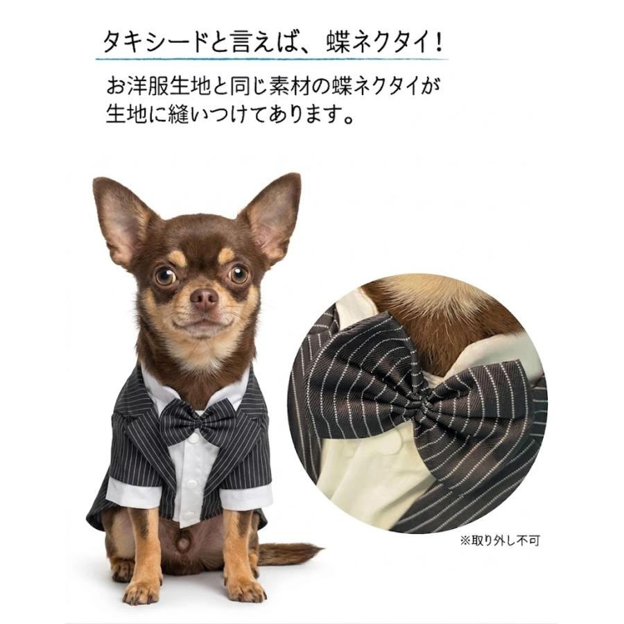 パピリーヒルズ 犬服 Tuxedo set up 黒と白のストライプ 犬服 タキシード（ チャコールストライプ ） 小型犬 中型犬 フォーマル