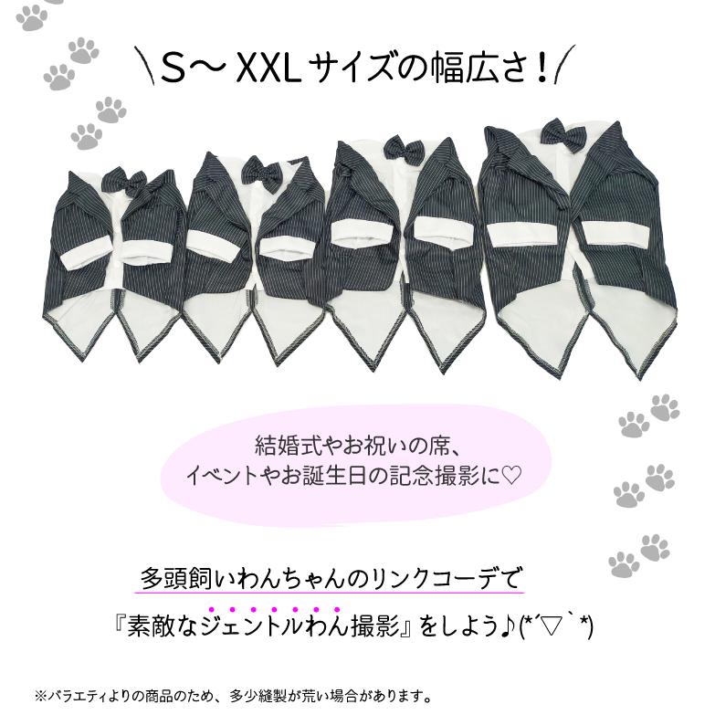 犬服 タキシード（ チャコールストライプ ） 小型犬 中型犬 フォーマル