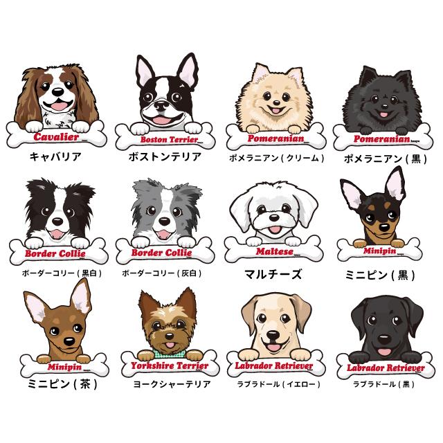 ネットワーク全体の最低価格に挑戦 ギフト お誕生日 犬屋 秋田犬 缶バッジ プレゼント 56mm ラ 大型犬 オリジナル 柴犬 フレブル ちょい悪デザイン ゴールデン コーギー グッズ 各種 雑貨 柄 オーナーズグッズ